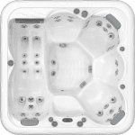 WM00555 Venus ICEW TOP